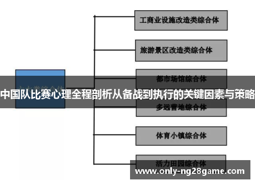 中国队比赛心理全程剖析从备战到执行的关键因素与策略