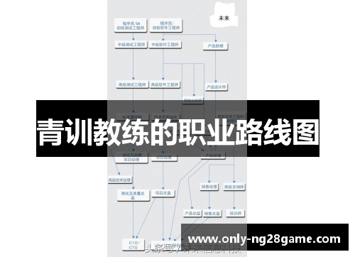 青训教练的职业路线图