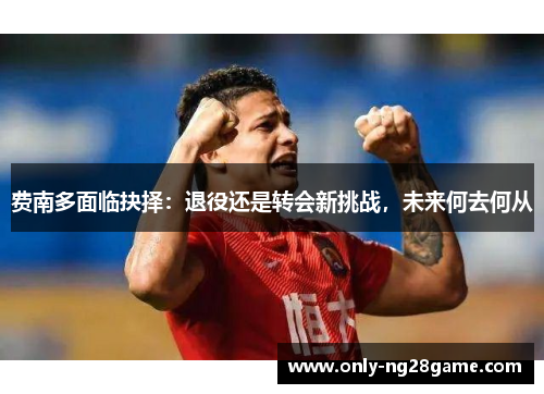 费南多面临抉择：退役还是转会新挑战，未来何去何从